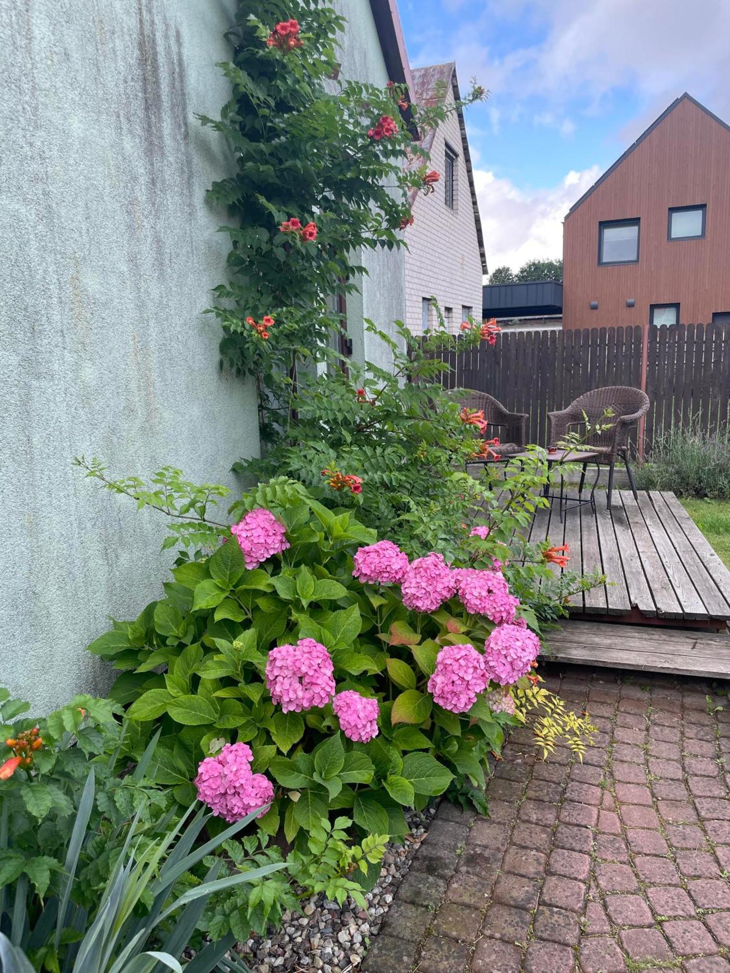 Ferienwohnung Namas Senamiestyje Kėdainiai Exterior foto